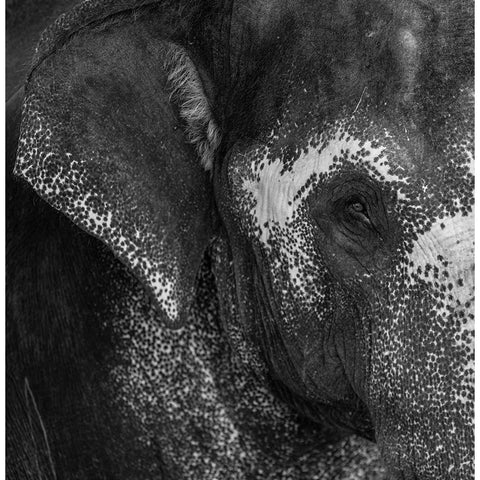 Love Black Modern Wood Framed Art Print by Kiperman, Roni