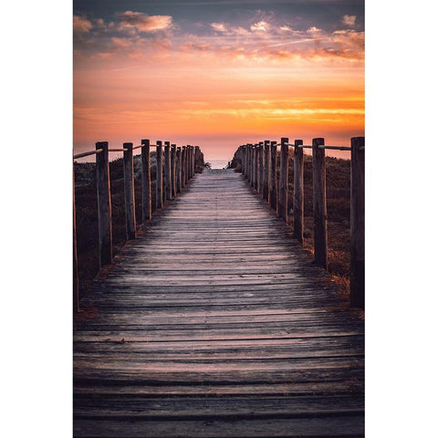 The Path White Modern Wood Framed Art Print by Oliveira, Abilio