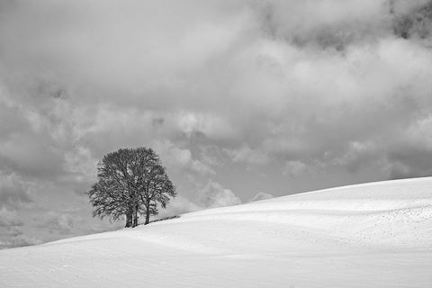 A cloudy winter day White Modern Wood Framed Art Print with Double Matting by Peter Rank, Hans