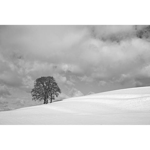 A cloudy winter day Black Modern Wood Framed Art Print with Double Matting by Peter Rank, Hans