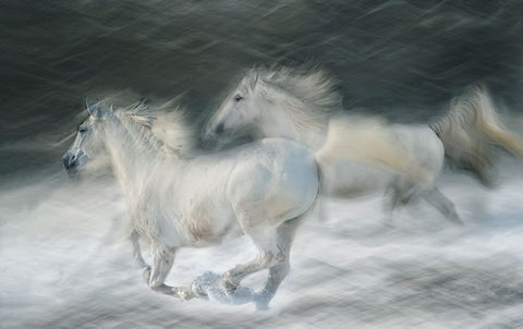 Gallop In A Duel Black Ornate Wood Framed Art Print with Double Matting by Malovrh, Milan