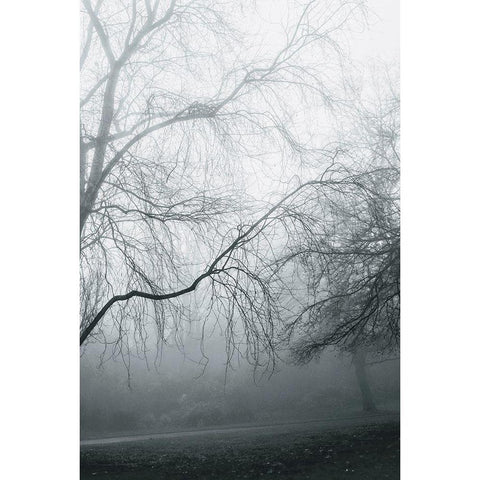 Foggy Winter Morning 2 Black Modern Wood Framed Art Print with Double Matting by Allen, Elizabeth