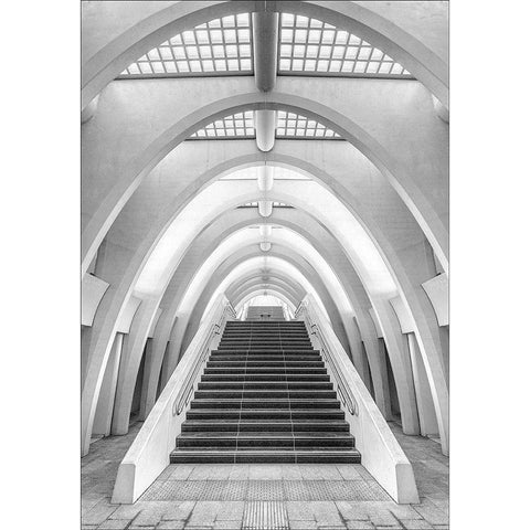 Calatrava lines Black Modern Wood Framed Art Print by Van Den, Jef