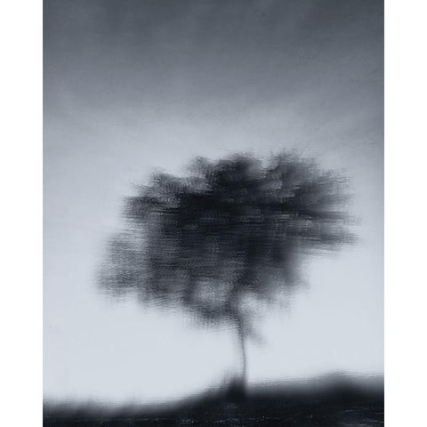 Illusion Black Modern Wood Framed Art Print with Double Matting by Oberai, Jassi