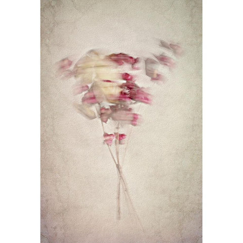 Vibrating Lines White Modern Wood Framed Art Print by Kiral, Cicek