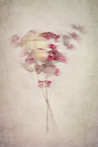 Vibrating Lines White Modern Wood Framed Art Print with Double Matting by Kiral, Cicek