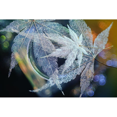 Trio Black Modern Wood Framed Art Print with Double Matting by Kowatari, Shihya