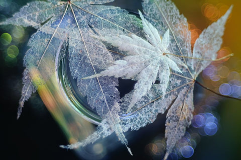 Trio Black Ornate Wood Framed Art Print with Double Matting by Kowatari, Shihya