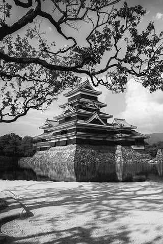 Matsumoto Castle Black Ornate Wood Framed Art Print with Double Matting by Lai, Jonathan