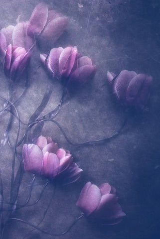 I Will Be Black Ornate Wood Framed Art Print with Double Matting by Lagaa, Kahar