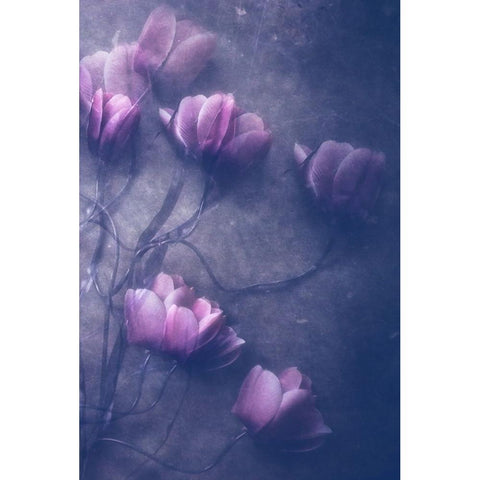 I Will Be Black Modern Wood Framed Art Print by Lagaa, Kahar