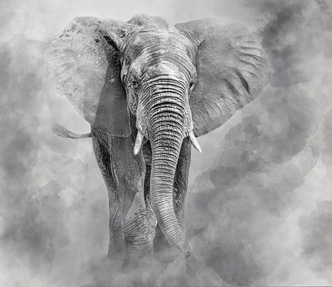 Giant Black Ornate Wood Framed Art Print with Double Matting by Rosenkrancova, Ilona