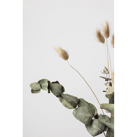 Dried_002 White Modern Wood Framed Art Print by 1x Studio III