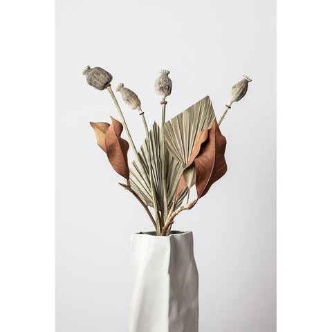 Dried_003 Black Modern Wood Framed Art Print with Double Matting by 1x Studio III