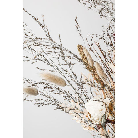 Dried_008 Black Modern Wood Framed Art Print with Double Matting by 1x Studio III