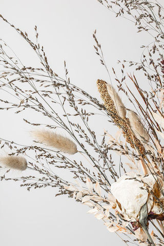 Dried_008 Black Ornate Wood Framed Art Print with Double Matting by 1x Studio III