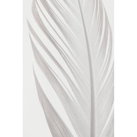 Feather_006 White Modern Wood Framed Art Print by 1x Studio III