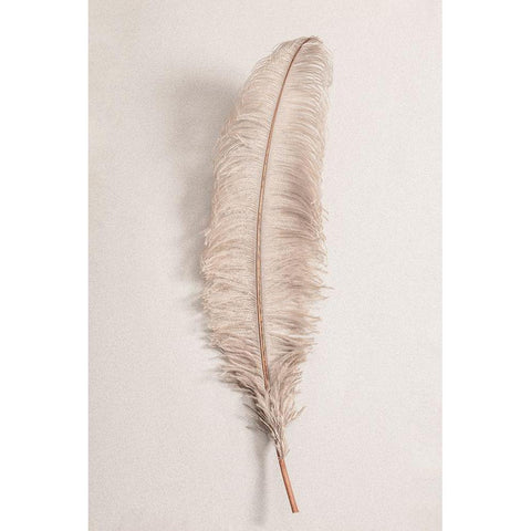 Feather_002 White Modern Wood Framed Art Print by 1x Studio III