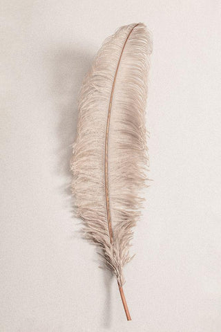 Feather_002 White Modern Wood Framed Art Print with Double Matting by 1x Studio III