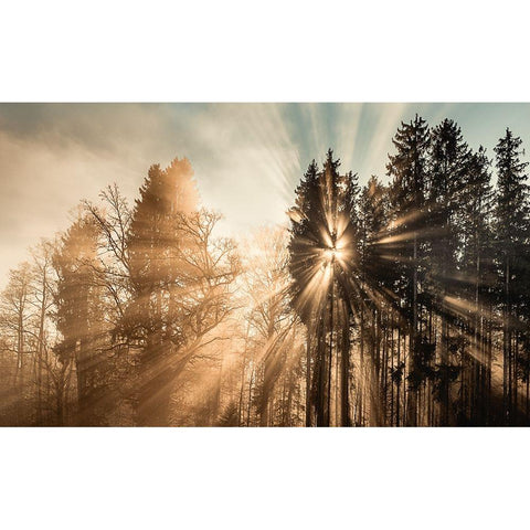 Fading away Black Modern Wood Framed Art Print with Double Matting by Eisenmann, Ulrike