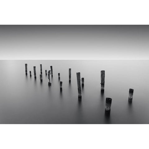 Invisible Links Black Modern Wood Framed Art Print with Double Matting by Massera, Dante
