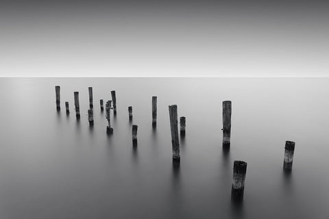 Invisible Links Black Ornate Wood Framed Art Print with Double Matting by Massera, Dante
