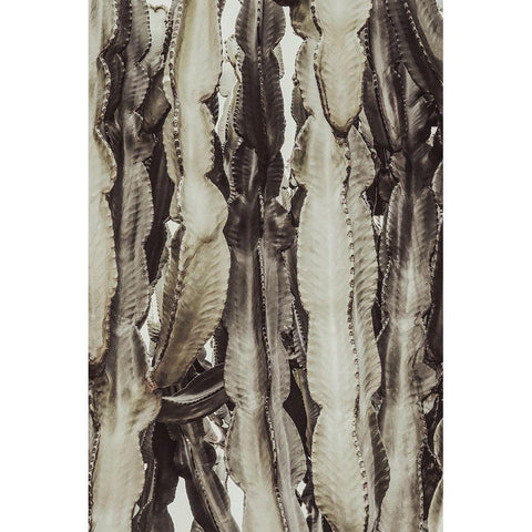 Cactus_001 Gold Ornate Wood Framed Art Print with Double Matting by 1x Studio III