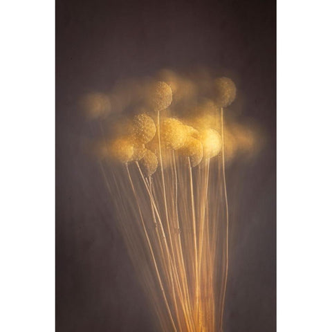 Curious Heads White Modern Wood Framed Art Print by Kiral, Cicek