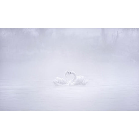 Love In The Foggy Morning White Modern Wood Framed Art Print by Zhang, Joan