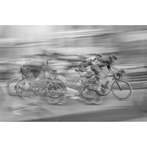 Chase Black Modern Wood Framed Art Print by Wu, Steven