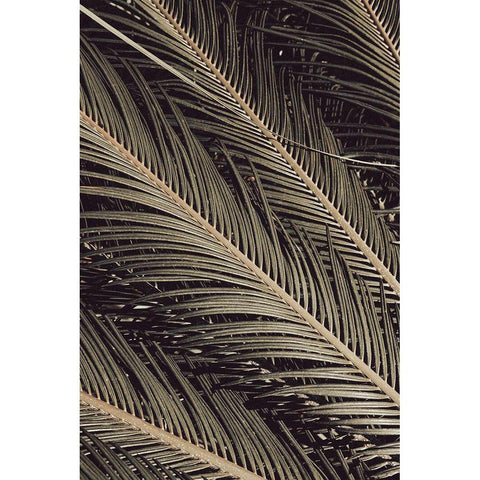 Palmblad_002 Black Modern Wood Framed Art Print with Double Matting by 1x Studio III