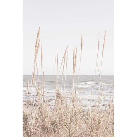 Beach_Vass_001 Black Modern Wood Framed Art Print with Double Matting by 1x Studio III