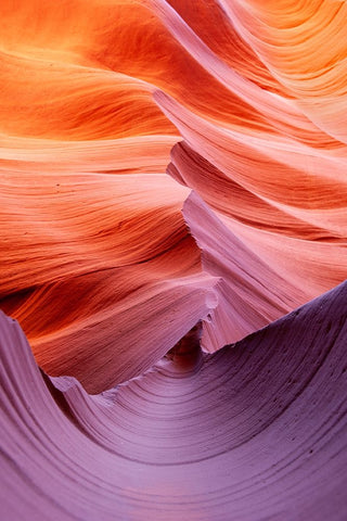 Half-pipe Black Ornate Wood Framed Art Print with Double Matting by Felici, Massimo