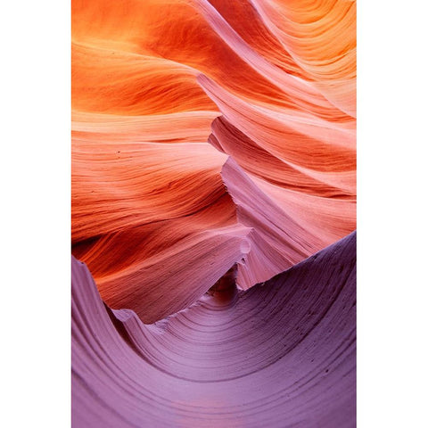 Half-pipe White Modern Wood Framed Art Print by Felici, Massimo