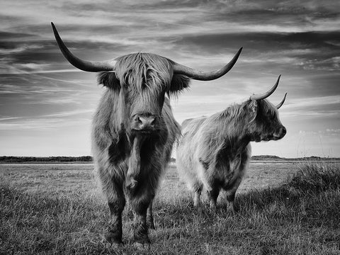 I Am The Boss Black Ornate Wood Framed Art Print with Double Matting by Pecqueux, Stephane