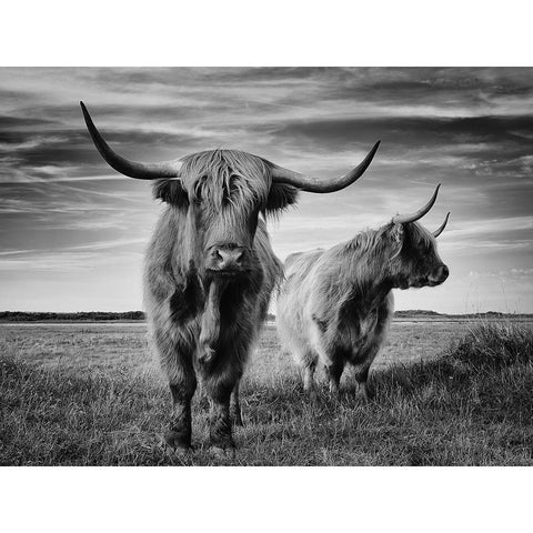 I Am The Boss White Modern Wood Framed Art Print by Pecqueux, Stephane