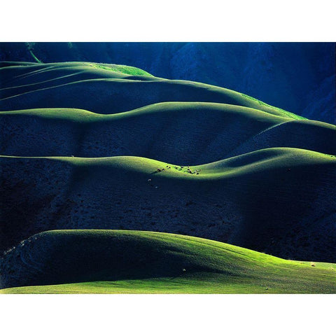 Rhythm White Modern Wood Framed Art Print by Chen, Adam