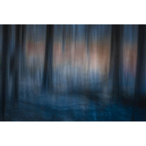 Look Deep Into Nature Black Modern Wood Framed Art Print by Bouhuijzen, Ina