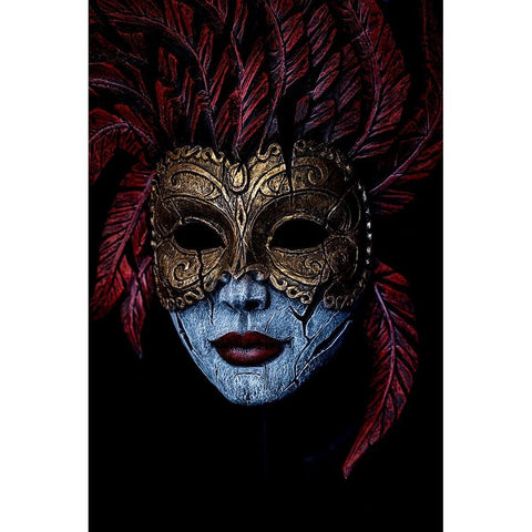 Where does the mask begin and end? Gold Ornate Wood Framed Art Print with Double Matting by Ciappara Lrps., Simon