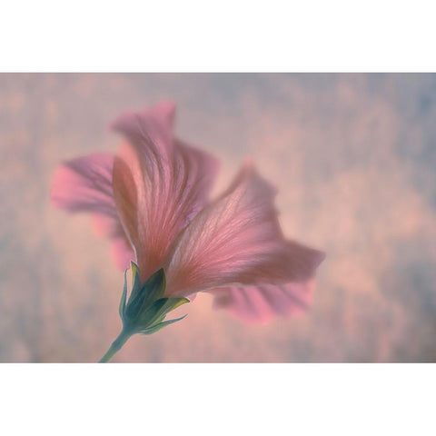 Dancing Black Modern Wood Framed Art Print by Water, Clear