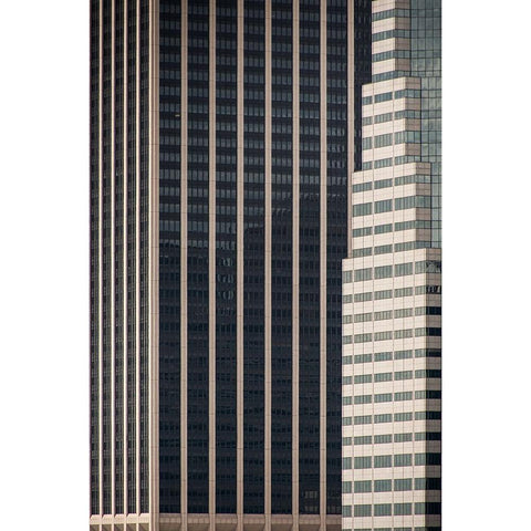 verticality Black Modern Wood Framed Art Print with Double Matting by Bontempi, Annalisa