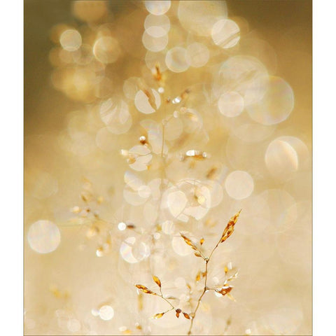 A bit closer 2/02 White Modern Wood Framed Art Print by Limberg, Huib