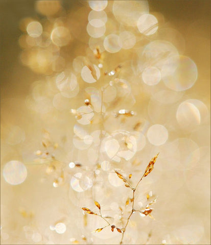 A bit closer 2/02 White Modern Wood Framed Art Print with Double Matting by Limberg, Huib