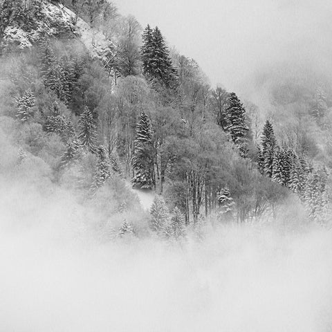 the foggy mountain Black Ornate Wood Framed Art Print with Double Matting by Wasinger, Renate
