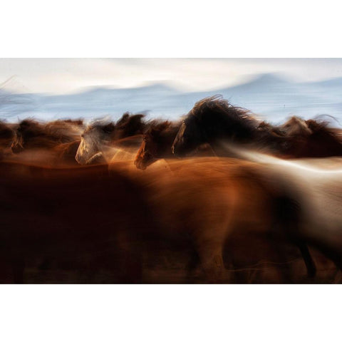 The Spirit Of Freedom White Modern Wood Framed Art Print by Turkmen, Timur