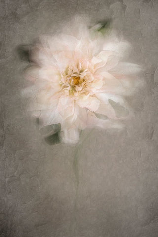 For The Bride Black Ornate Wood Framed Art Print with Double Matting by Kiral, Cicek