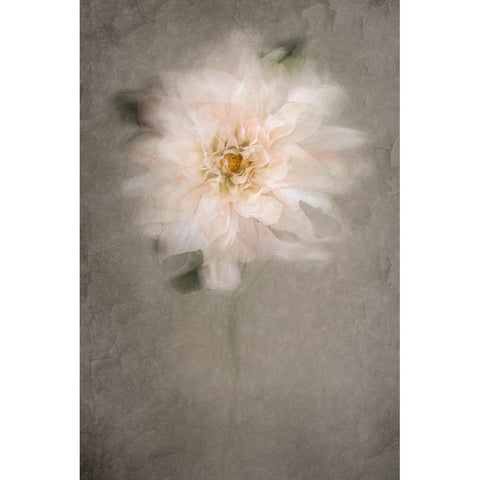 For The Bride Black Modern Wood Framed Art Print with Double Matting by Kiral, Cicek