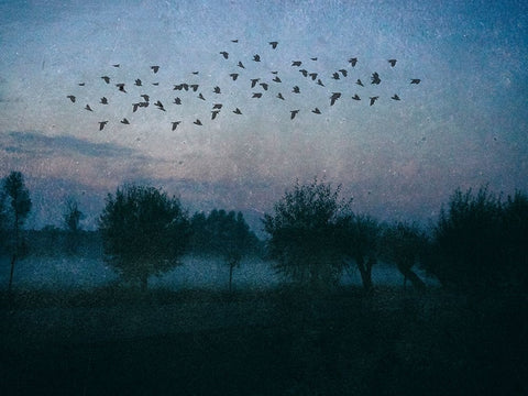 The Promise White Modern Wood Framed Art Print with Double Matting by Landau, Ulrike