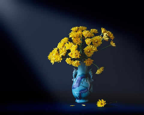 Yellow flowers White Modern Wood Framed Art Print with Double Matting by Zhang, Hannah