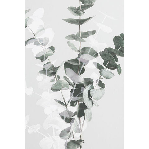 Eucalyptus_002 Gold Ornate Wood Framed Art Print with Double Matting by 1x Studio III